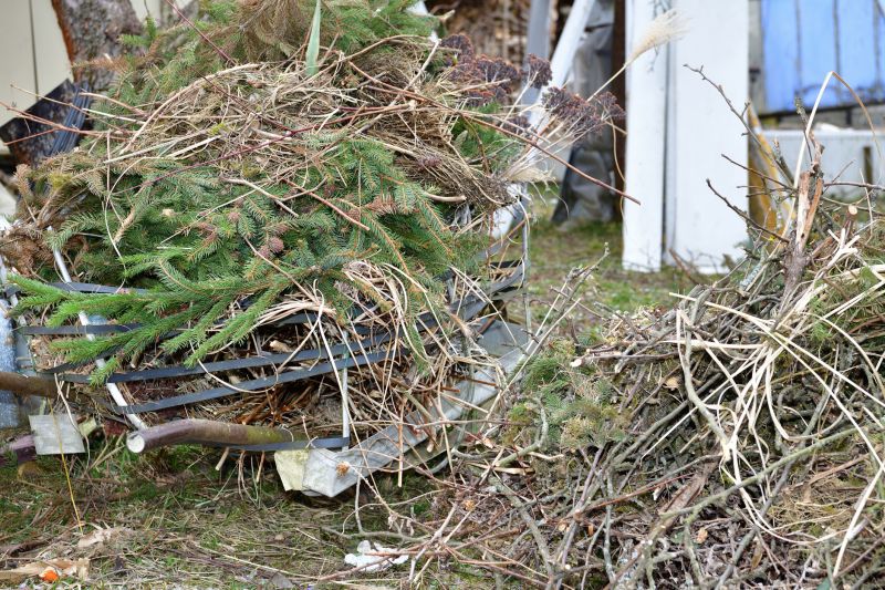 Cost of Tree Removal — Cost of Tree Removal