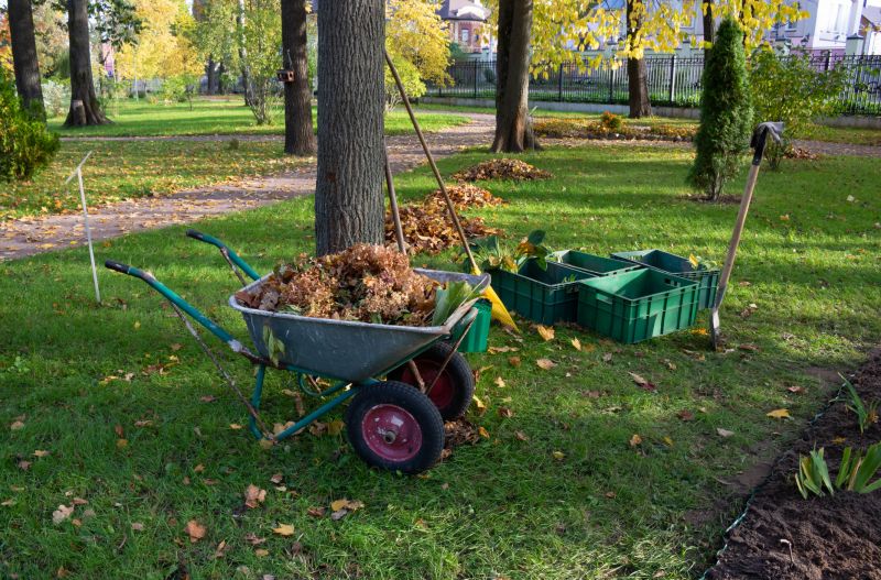 Land Preparation Service in Katy, TX