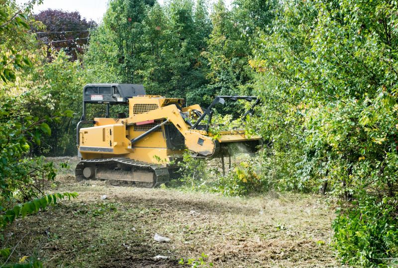 Thicket Clearing in Cumming, GA