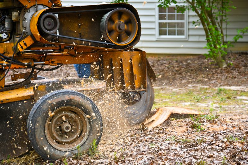 Tree Stump Grinding Services