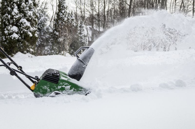 Tree Removal Equipment in Winter