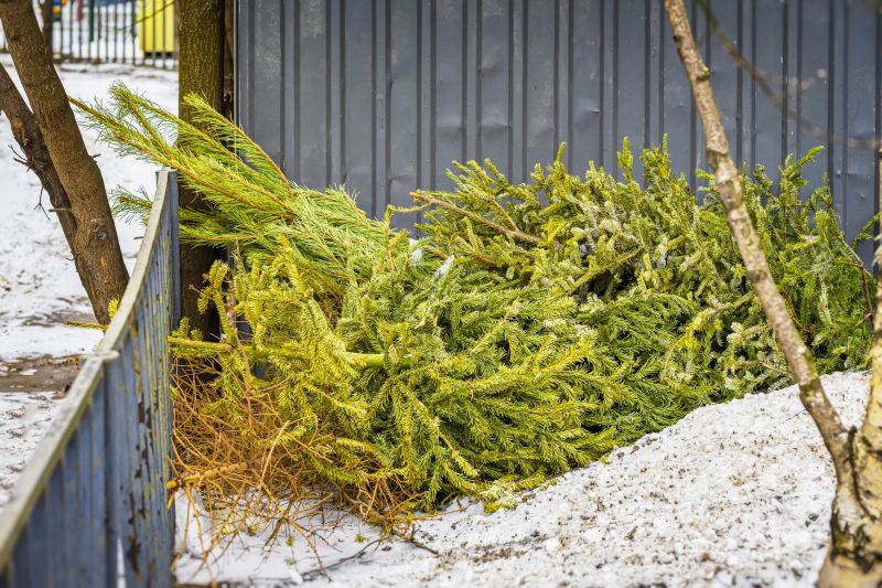 Cleanup and Debris Removal