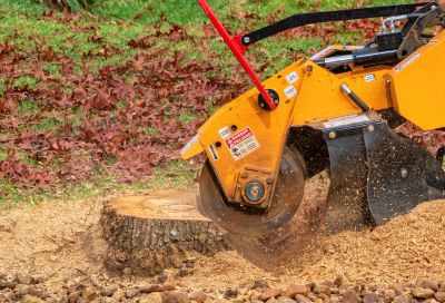 Stump Grinding Options