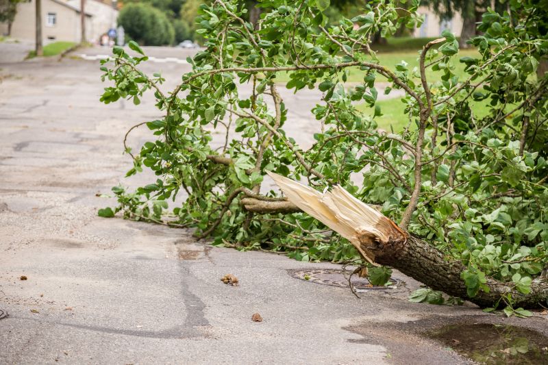 Efficient Debris Removal