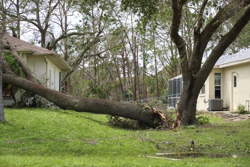 Immediate Hazard Mitigation