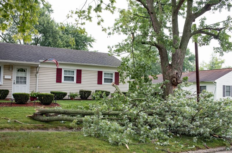 Property Protection